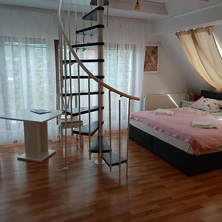 Pension Donaublick Grein 2 In Stifterstrasse19. Apartman Kültér fotó