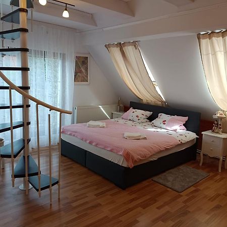Pension Donaublick Grein 2 In Stifterstrasse19. Apartman Kültér fotó