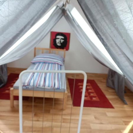 Pension Donaublick Grein 2 In Stifterstrasse19. Apartman Kültér fotó