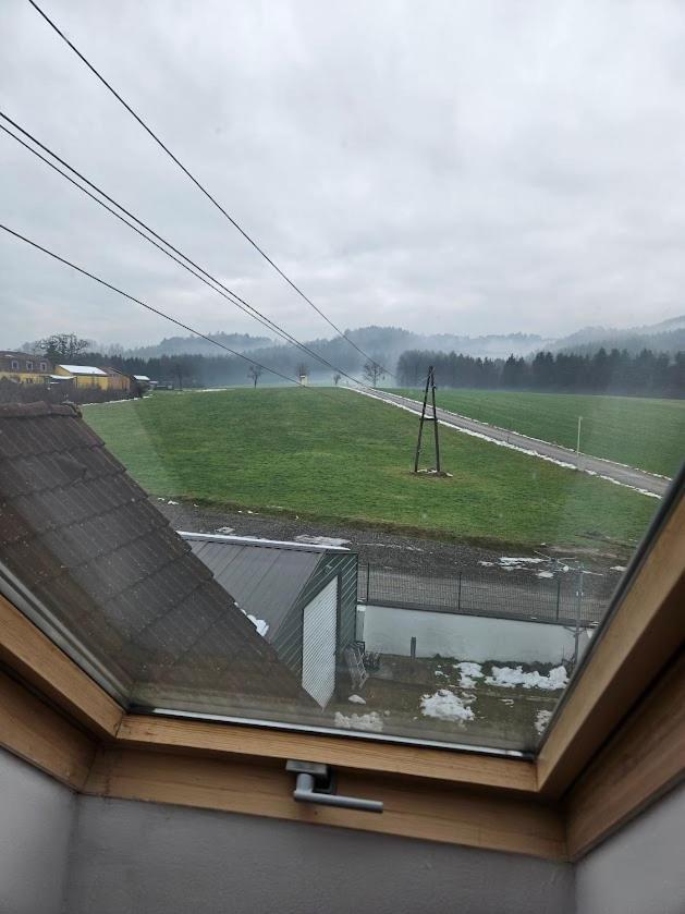 Pension Donaublick Grein 2 In Stifterstrasse19. Apartman Kültér fotó