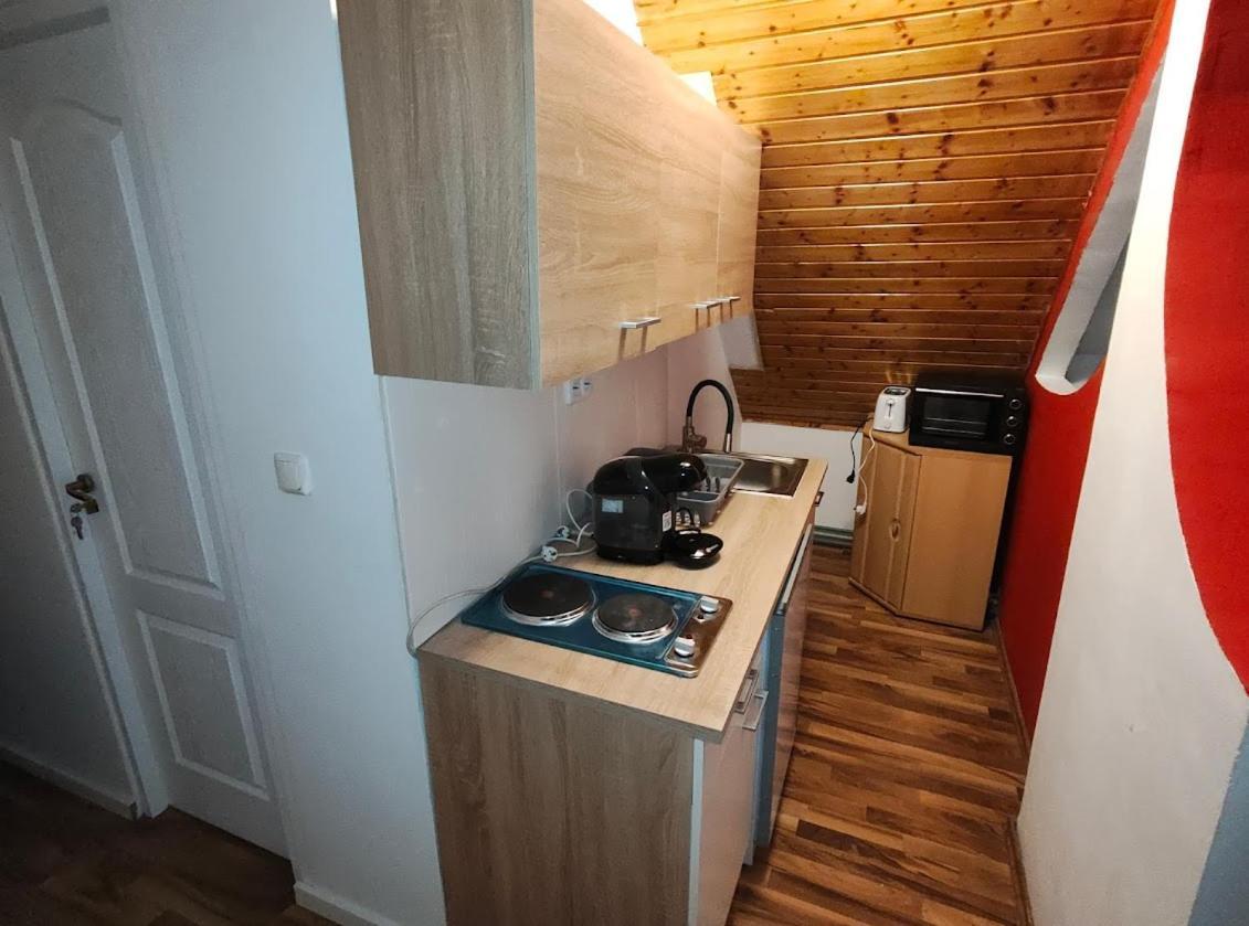 Pension Donaublick Grein 2 In Stifterstrasse19. Apartman Kültér fotó