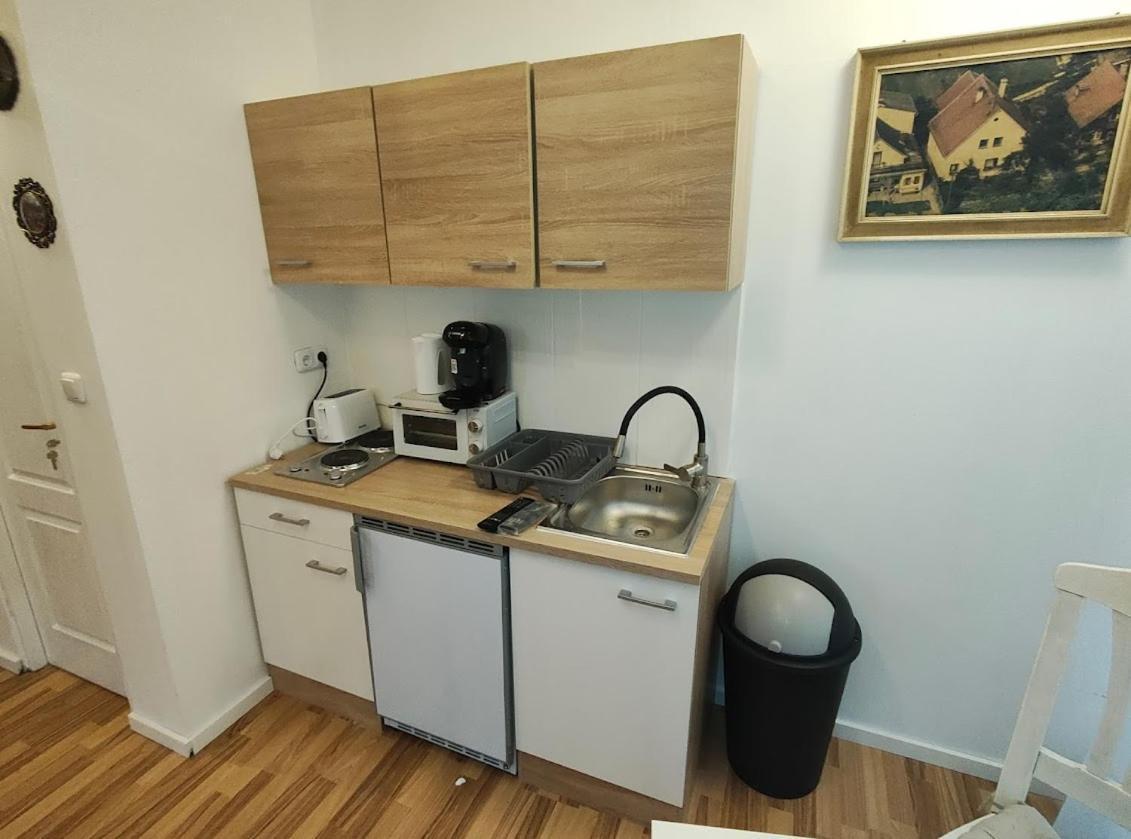 Pension Donaublick Grein 2 In Stifterstrasse19. Apartman Kültér fotó