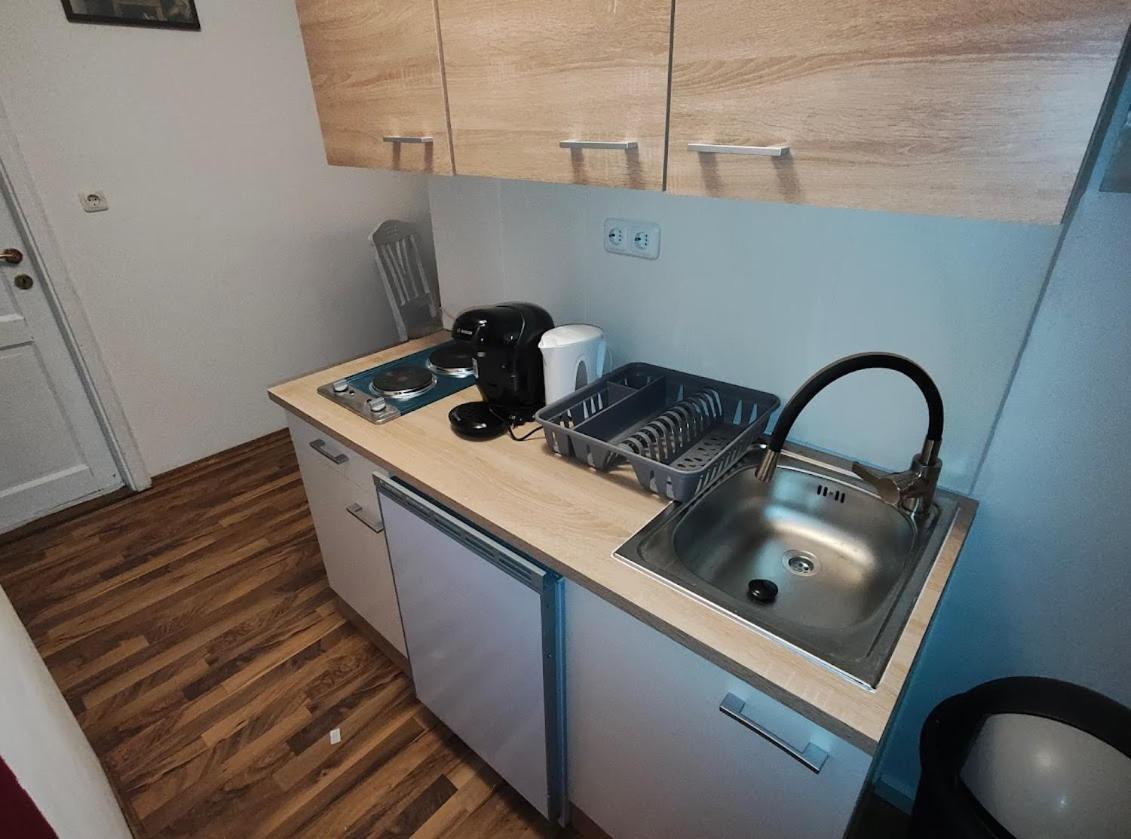 Pension Donaublick Grein 2 In Stifterstrasse19. Apartman Kültér fotó