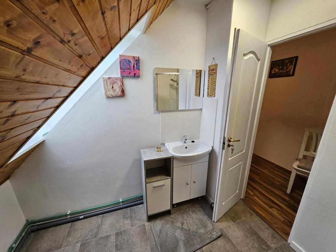 Pension Donaublick Grein 2 In Stifterstrasse19. Apartman Kültér fotó