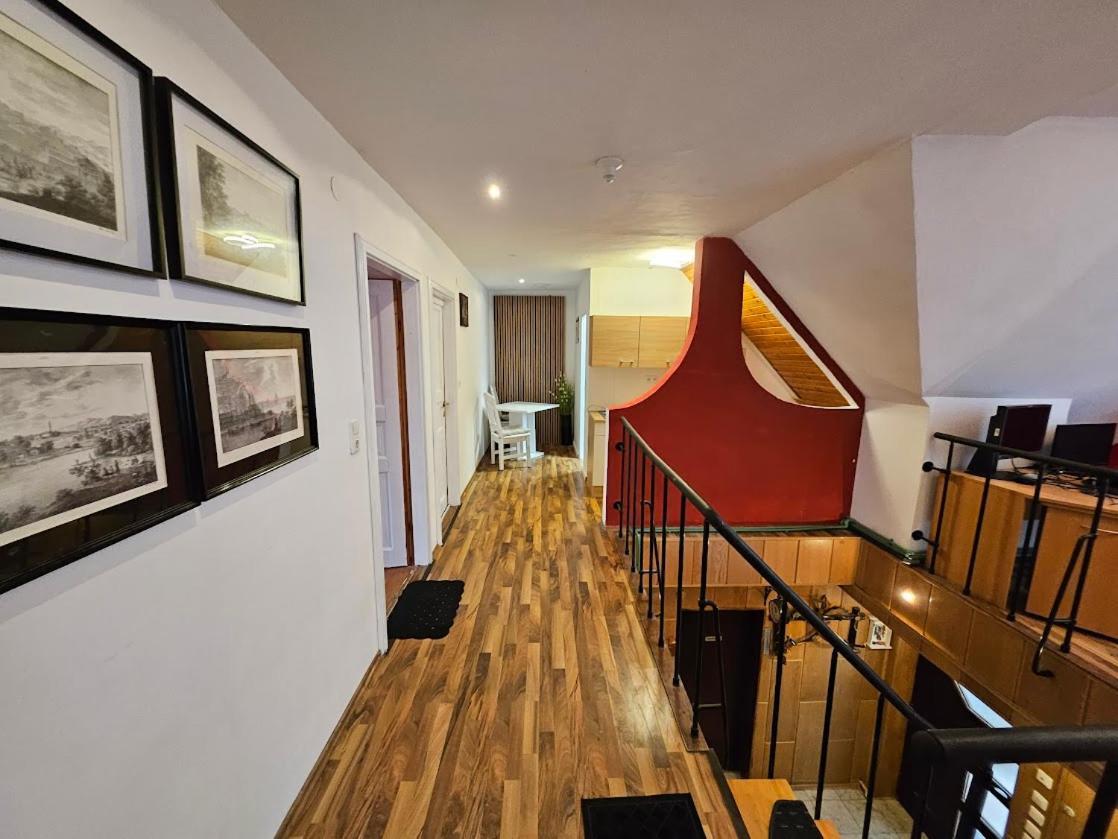 Pension Donaublick Grein 2 In Stifterstrasse19. Apartman Kültér fotó