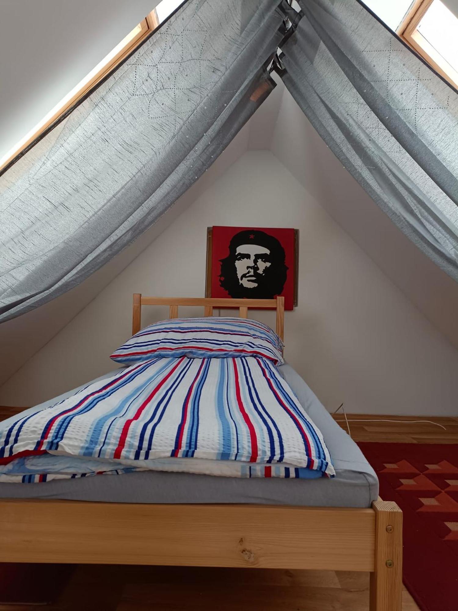 Pension Donaublick Grein 2 In Stifterstrasse19. Apartman Kültér fotó